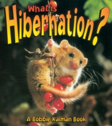 Image for What is Hibernation