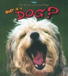 Image for What is a Dog?