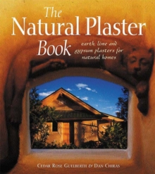 Image for The Natural Plaster Book