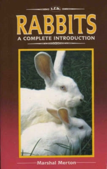 Image for A Complete Guide to Rabbits
