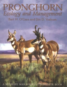 Image for Pronghorn