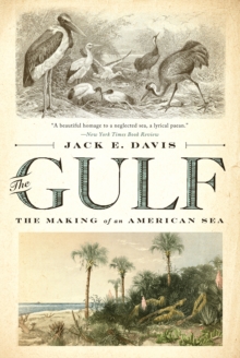 Image for The Gulf: The Making of an American Sea