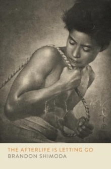 Image for The Afterlife is Letting Go