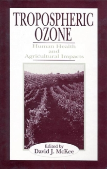 Image for Tropospheric Ozone : Human Health and Agricultural Impacts