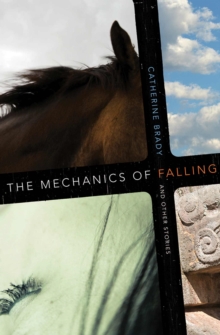 Mechanics of Falling and Other Stories