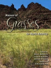 Image for Manual of Grasses for North America
