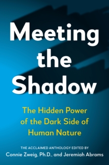 Image for Meeting the Shadow