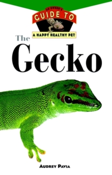 Image for The gecko