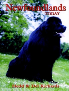 Image for Newfoundlands Today