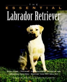 Image for The essential labrador retriever