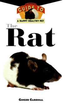 Image for The Rat