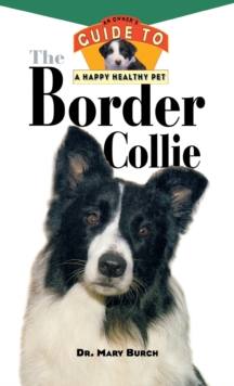 Image for The Border Collie