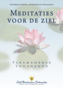 Image for Metaphysical Meditations (Dutch)