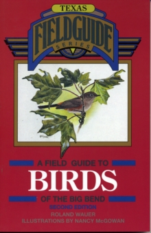 Image for A Field Guide to Birds of the Big Bend