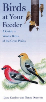 Image for Birds at Your Feeder : A Guide to Winter Birds of the Great Plains