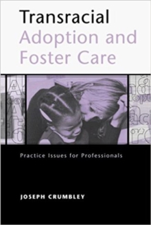 Image for Transracial Adoption and Foster Care