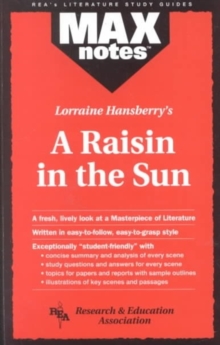 Image for MAXnotes Literature Guides: Raisin in the Sun