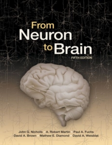 Image for From Neuron to Brain
