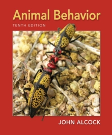 Image for Animal Behavior : An Evolutionary Approach