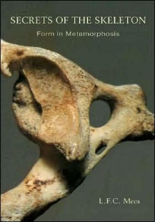 Image for Secrets of the Skeleton : Form in Metamorphosis