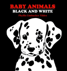 Image for Baby animals  : black and white