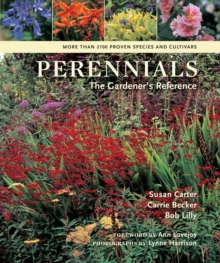 Image for Perennials  : the gardener's reference