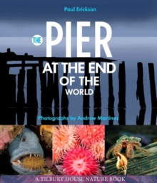 Image for The Pier at the End of the World