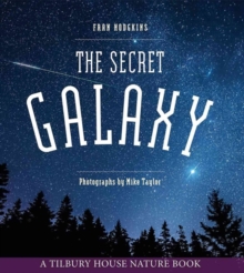 Image for The Secret Galaxy