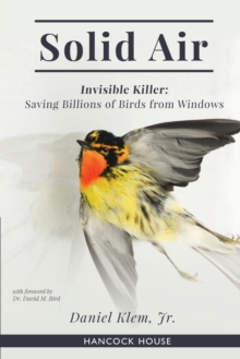 Solid Air: Invisible Killer- Saving Birds from Windows