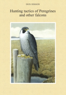 Image for Hunting tactics of Peregrines and other falcons