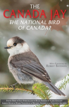 Canada Jay