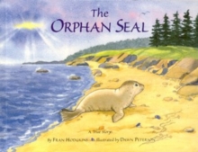 Orphan Seal