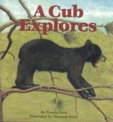 Cub Explores