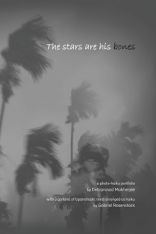 Image for The stars are his bones