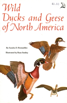 Image for Wild Ducks and Geese of North America