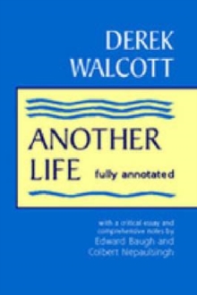 Another Life