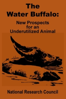 Image for The Water Buffalo : New Prospects for an Underutilized Animal