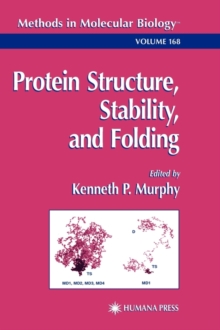 Image for Protein Structure, Stability, and Folding