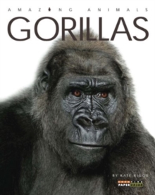 Amazing Animals: Gorillas