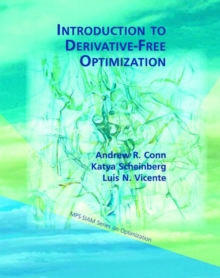 Image for Introduction to derivative-free optimization