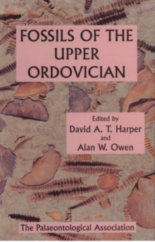 Image for Fossils of the upper Ordovician