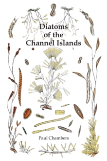 Image for Diatoms of the Channel Islands