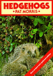 Image for Hedgehogs