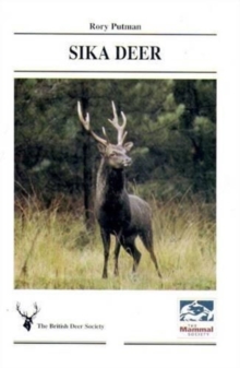 Image for Sika deer