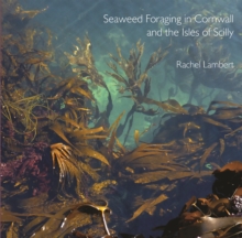 Image for Seaweed foraging in Cornwall and the Isles of Scilly