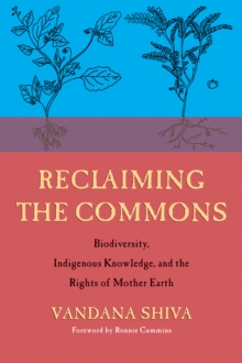 Image for Reclaiming the commons  : biodiversity, traditional knowledge, and the rights of Mother Earth