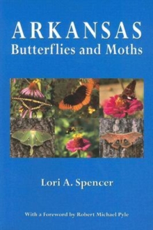 Image for Arkansas Butterflies and Moths