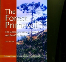 Image for The Forest Primeval