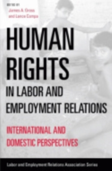 Image for Human Rights in Labor and Employment Relations