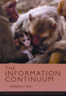 Image for The Information Continuum